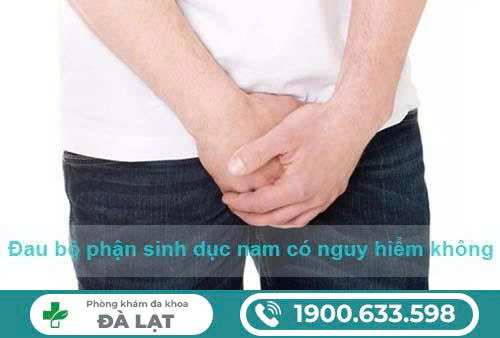 Hình ảnh minh họa